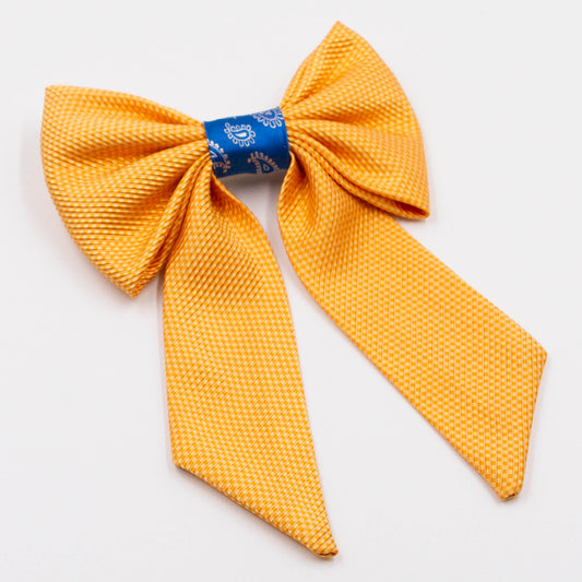 Haarstrik met lint Stralende Stan